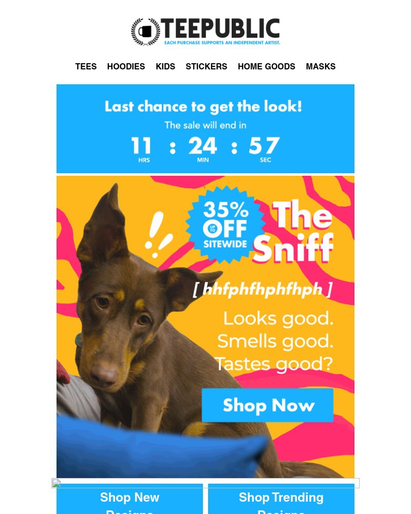 Screenshot of email with subject /media/emails/everythings-on-sale-what-are-you-waiting-for-b0d4b4-cropped-f1bbe131.jpg