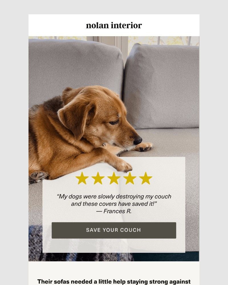 Screenshot of email with subject /media/emails/exactly-what-we-wanted-132ad2-cropped-2076abec.jpg