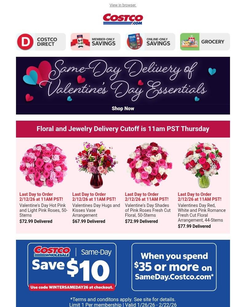 Screenshot of email with subject /media/emails/exceptional-savings-through-costco-direct-d949f5-cropped-adfd3e22.jpg