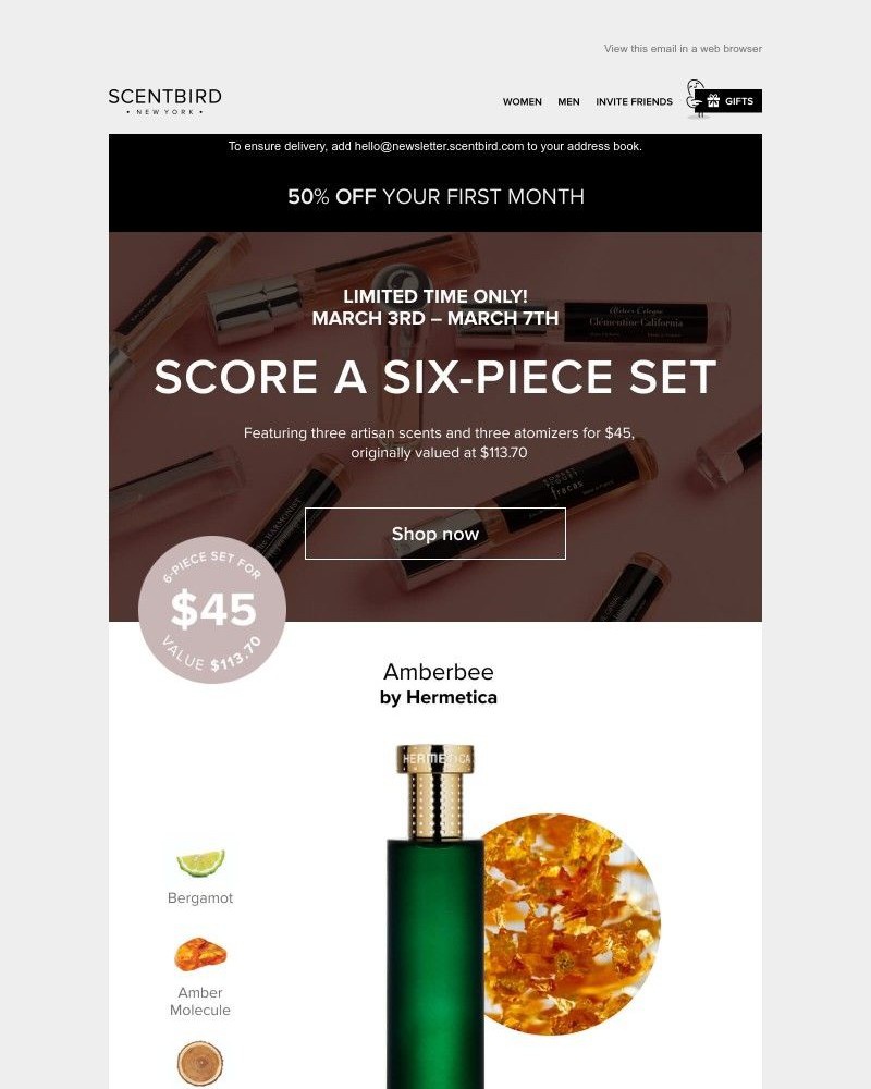 Screenshot of email with subject /media/emails/exclusive-access-6-piece-set-on-sale-0b8e66-cropped-a07680f3.jpg