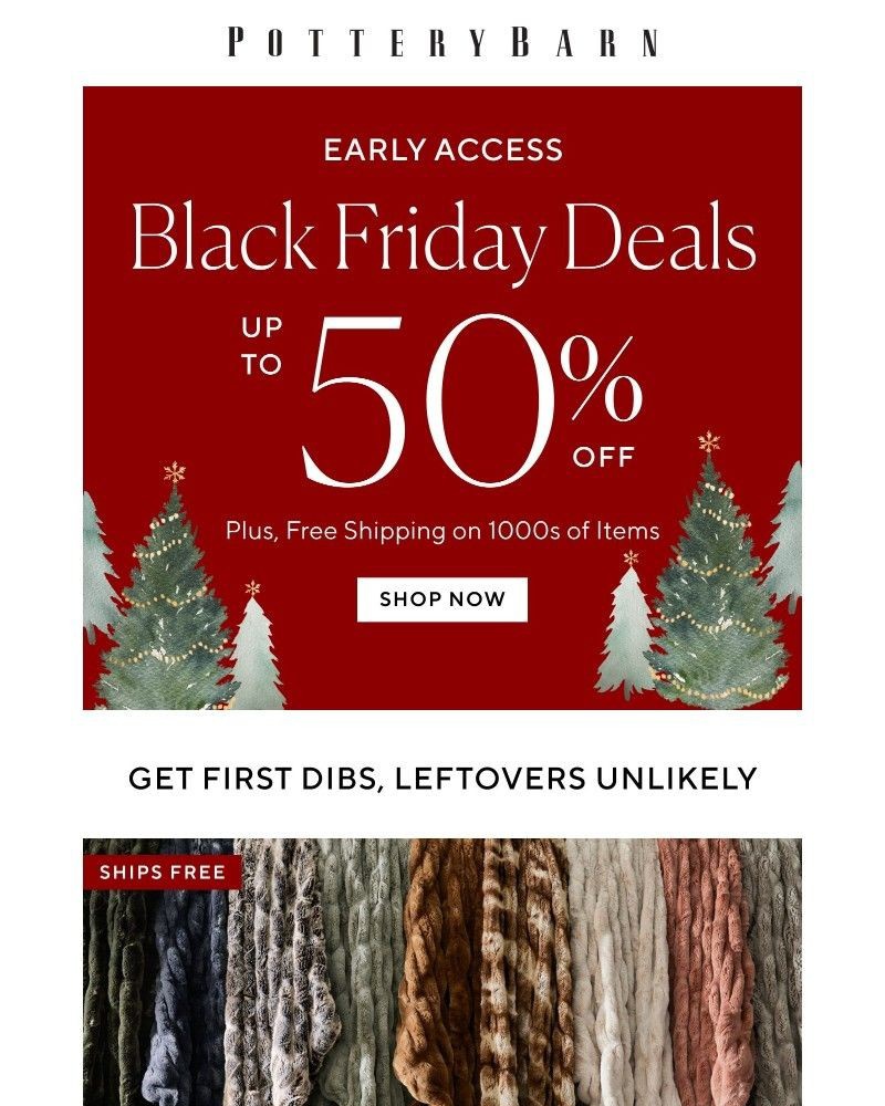 Screenshot of email with subject /media/emails/exclusive-early-access-black-friday-deals-a0010b-cropped-80a38a9a.jpg