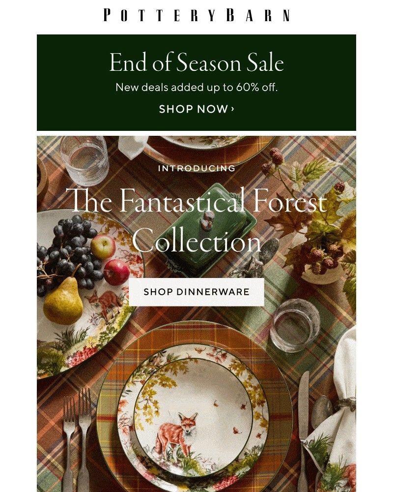 Screenshot of email with subject /media/emails/exclusive-new-dinnerware-for-an-irresistible-table-2c2d2e-cropped-d02b6fb6.jpg