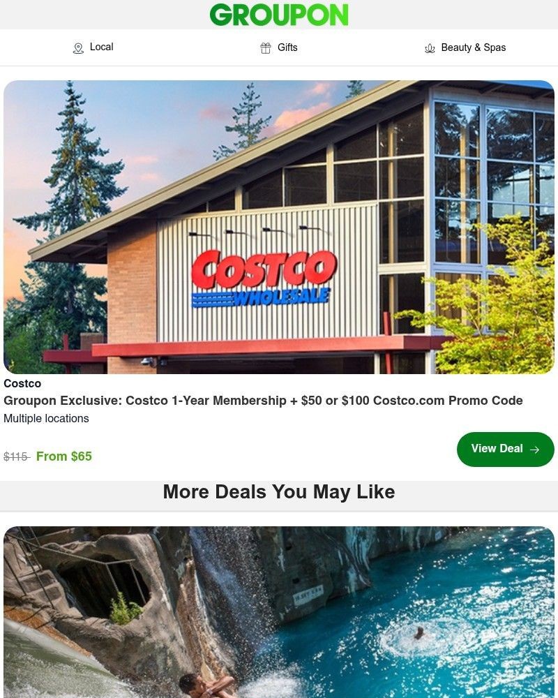 Screenshot of email with subject /media/emails/exclusive-offer-costco-1-year-membership-up-to-100-in-costcocom-savings-5d7dc4-cr_UfZzj6I.jpg