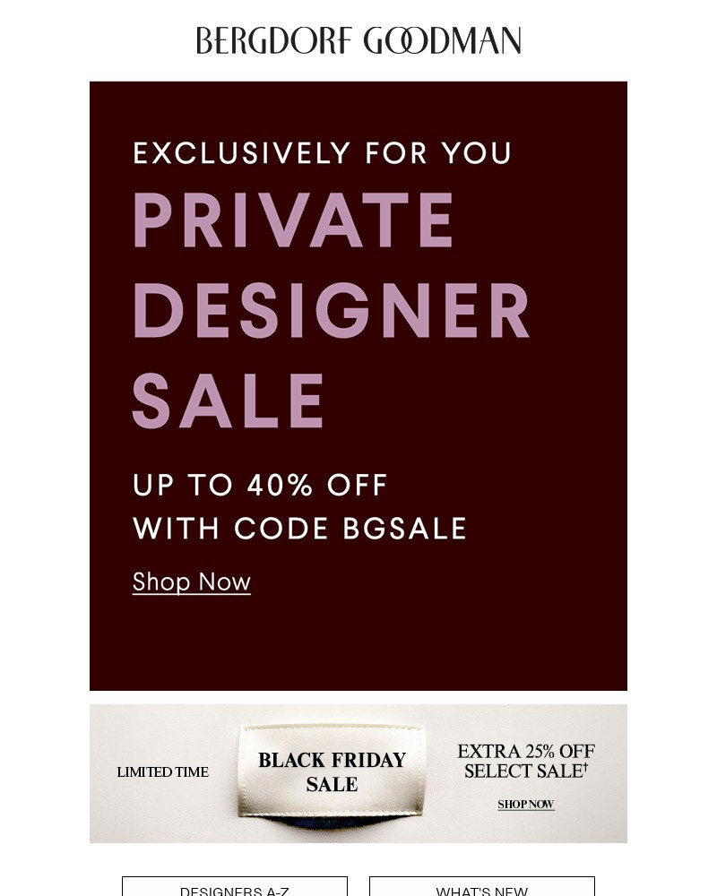 Screenshot of email with subject /media/emails/exclusive-private-designer-sale-4ab5c7-cropped-e3842c24.jpg