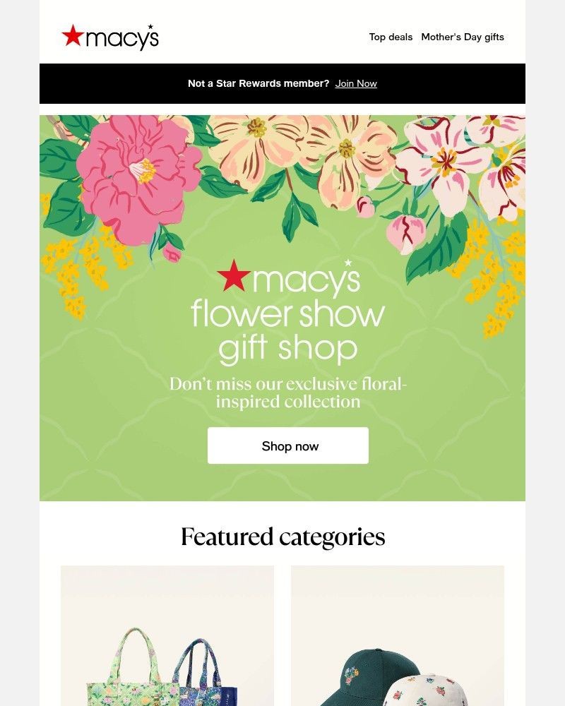 Screenshot of email with subject /media/emails/exclusive-shop-our-flower-show-collection-eadff5-cropped-ee3ab648.jpg
