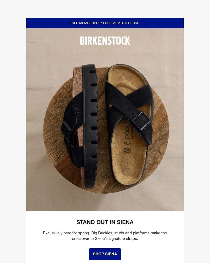 Screenshot of email with subject /media/emails/exclusively-for-spring-the-siena-sandal-01d454-cropped-e59507fb.jpg