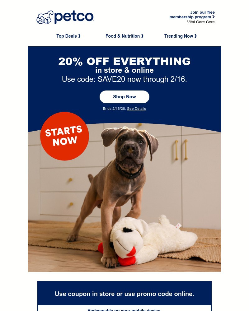 Screenshot of email sent to a Petco Newsletter subscriber