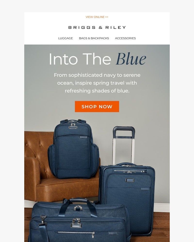 Screenshot of email with subject /media/emails/expand-your-horizons-with-blue-hues-85cd1b-cropped-3c57eee5.jpg