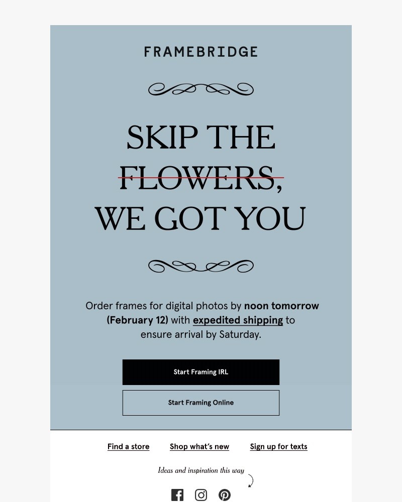 Screenshot of email sent to a Fleur & Bee Customer