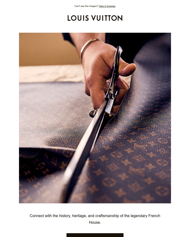 Screenshot of email with subject /media/emails/experience-the-world-of-louis-vuitton-f3fa31-cropped-a372da7a.jpg