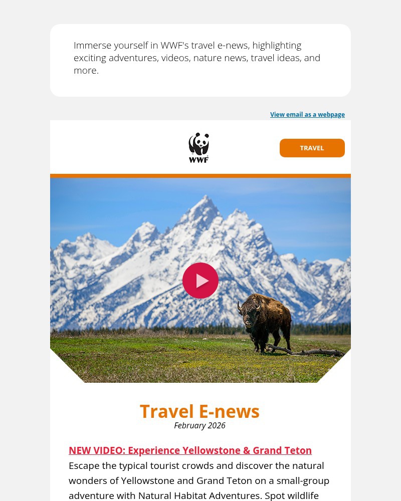Screenshot of email sent to a World Wildlife Fund Newsletter subscriber
