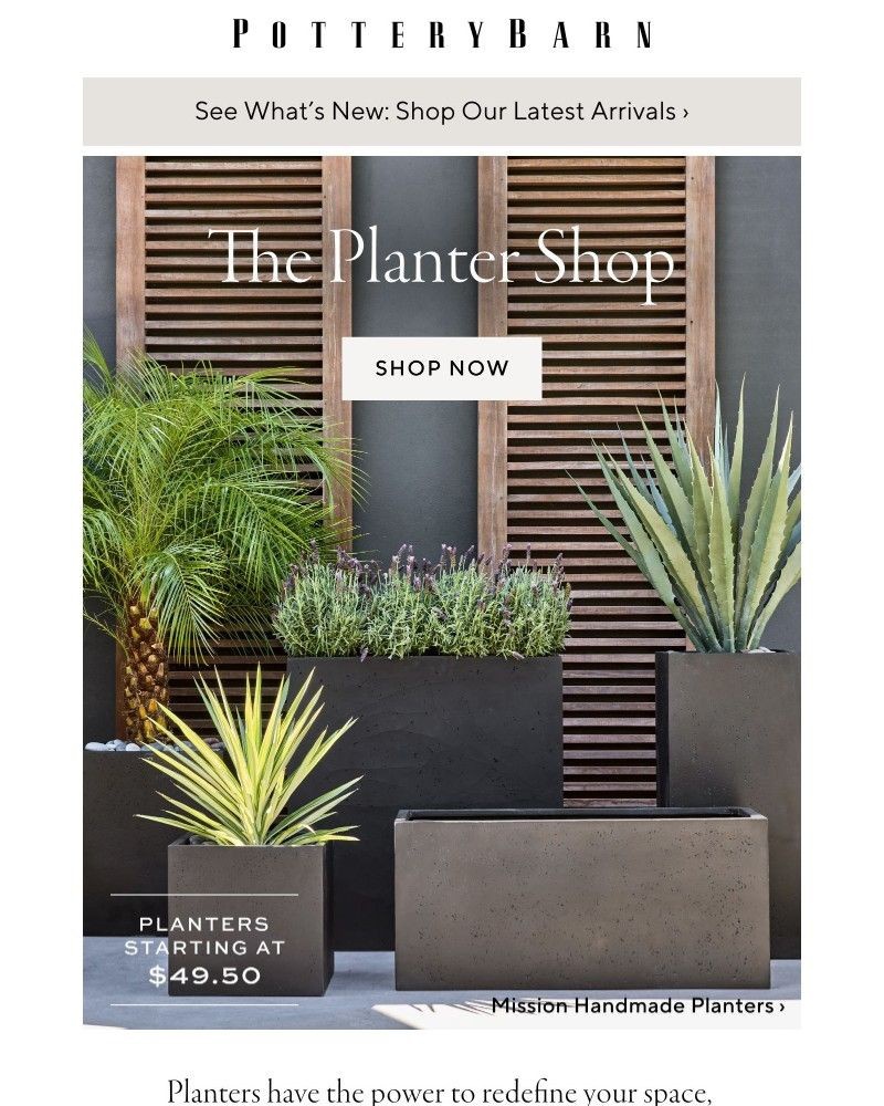 Screenshot of email with subject /media/emails/expert-planter-styling-tips-6d2d9f-cropped-fe2d46de.jpg