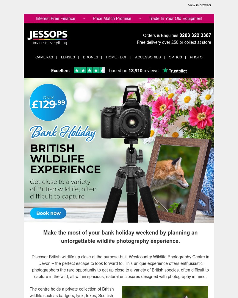 Screenshot of email with subject /media/emails/explore-british-wildlife-your-adventure-awaits-this-bank-holiday-30b499-cropped-6b003ad1.jpg