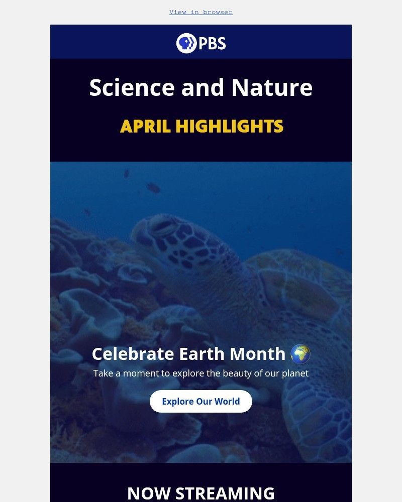 Screenshot of email sent to a PBS Newsletter subscriber