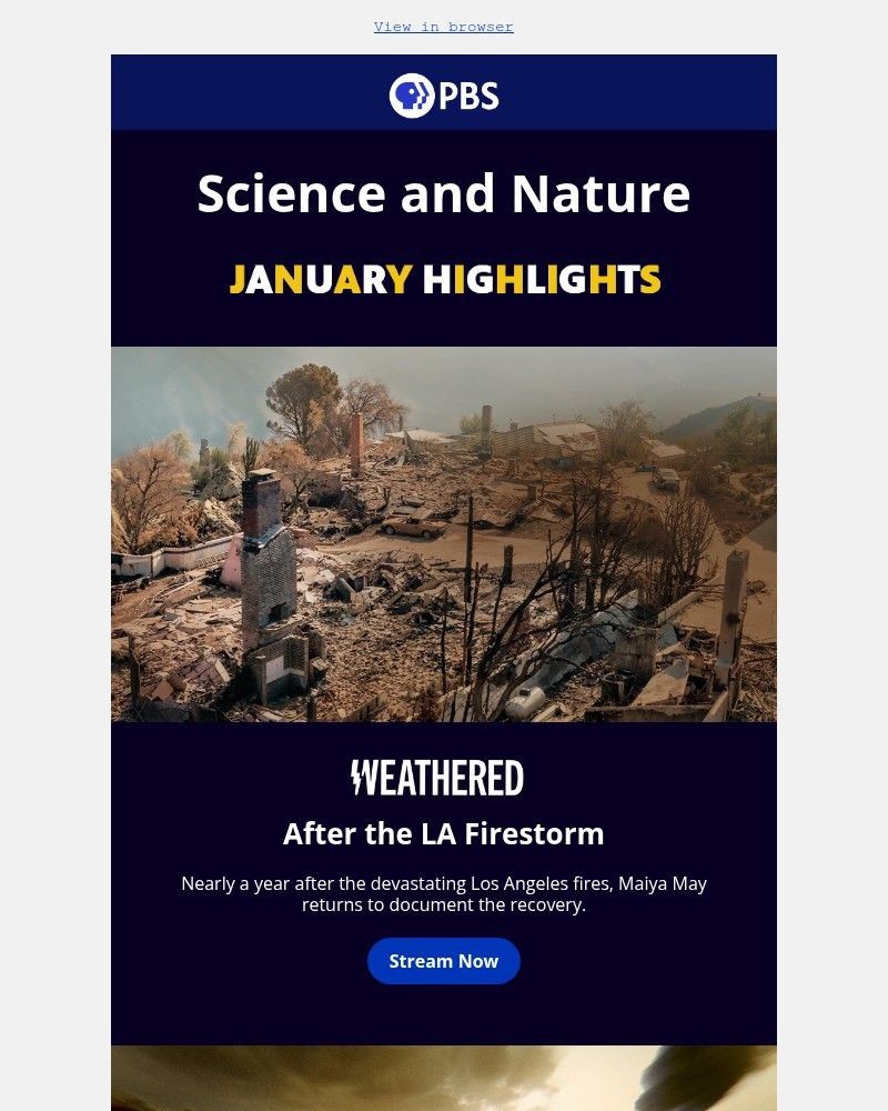 Screenshot of email with subject /media/emails/explore-the-extraordinary-this-january-946dfc-cropped-75ab15a0.jpg