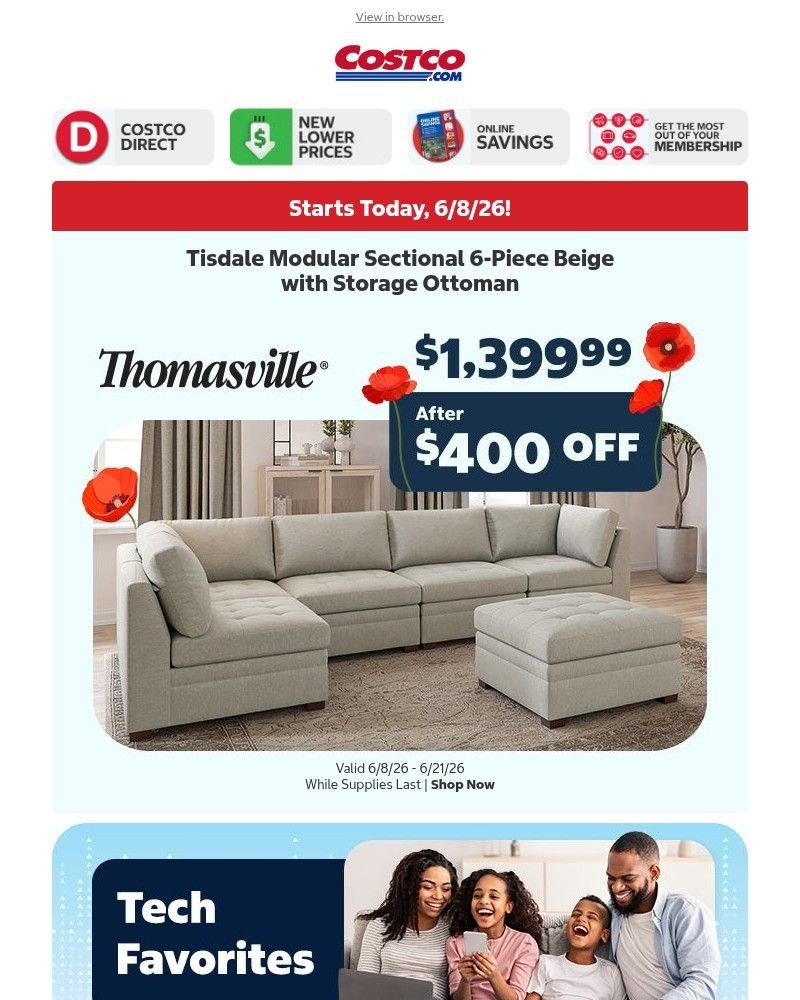 Screenshot of email sent to a Costco Newsletter subscriber