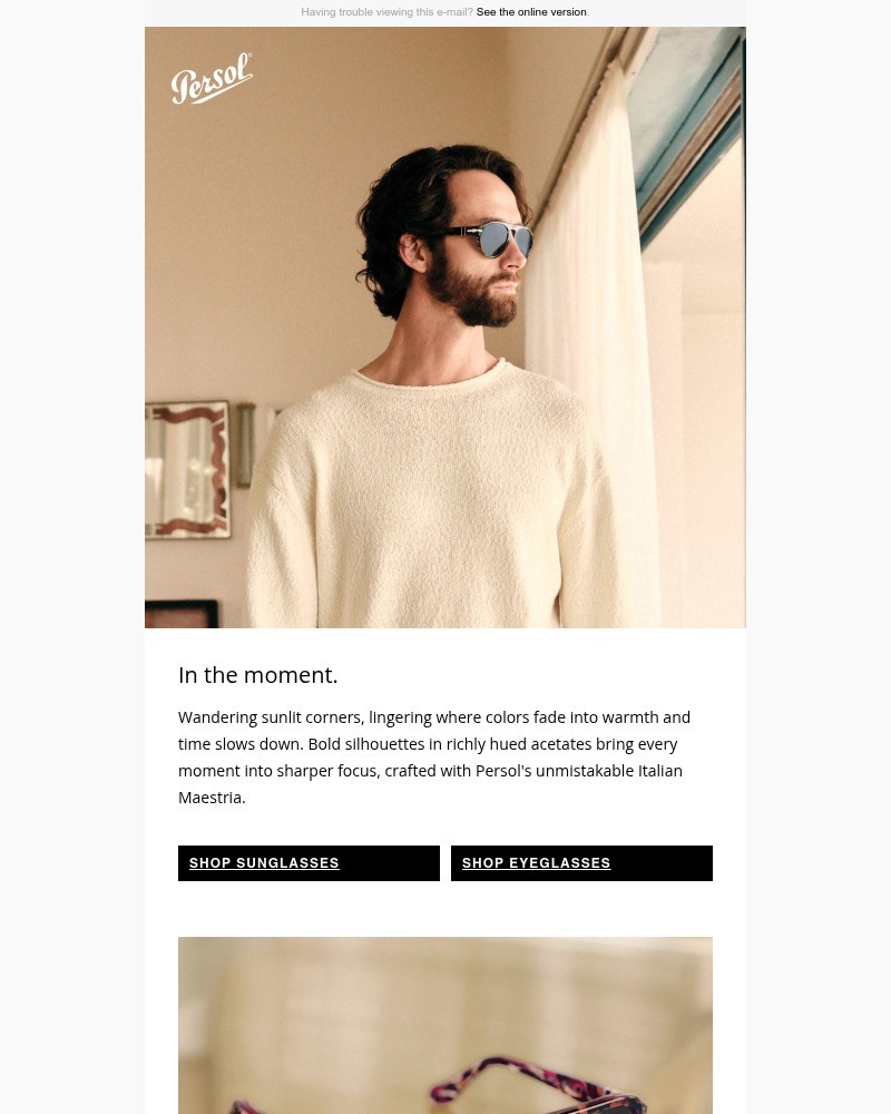 Screenshot of email with subject /media/emails/expressive-tortoiseshell-tones-for-summer-713334-cropped-050e8eab.jpg