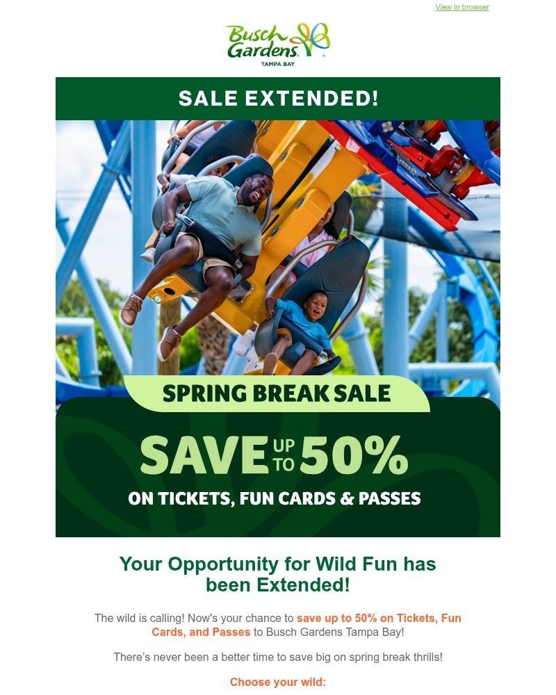 Screenshot of email sent to a Busch Gardens Newsletter subscriber