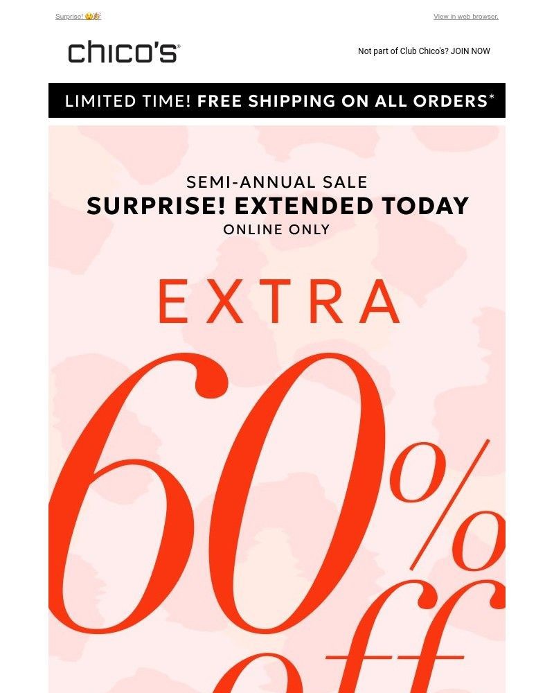 Screenshot of email with subject /media/emails/extended-today-only-extra-60-off-sale-free-shipping-4b1490-cropped-781cb6e2.jpg