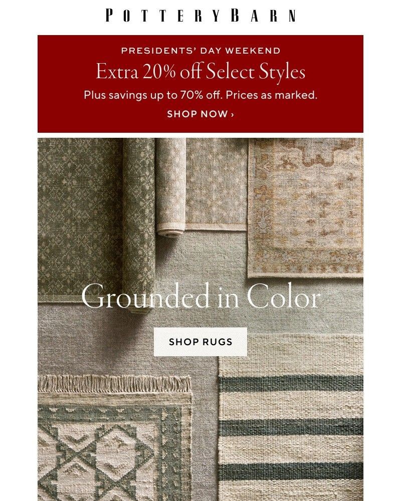 Screenshot of email with subject /media/emails/extra-20-off-clearance-ends-soon-find-a-rug-in-a-color-you-077031-cropped-03592476.jpg
