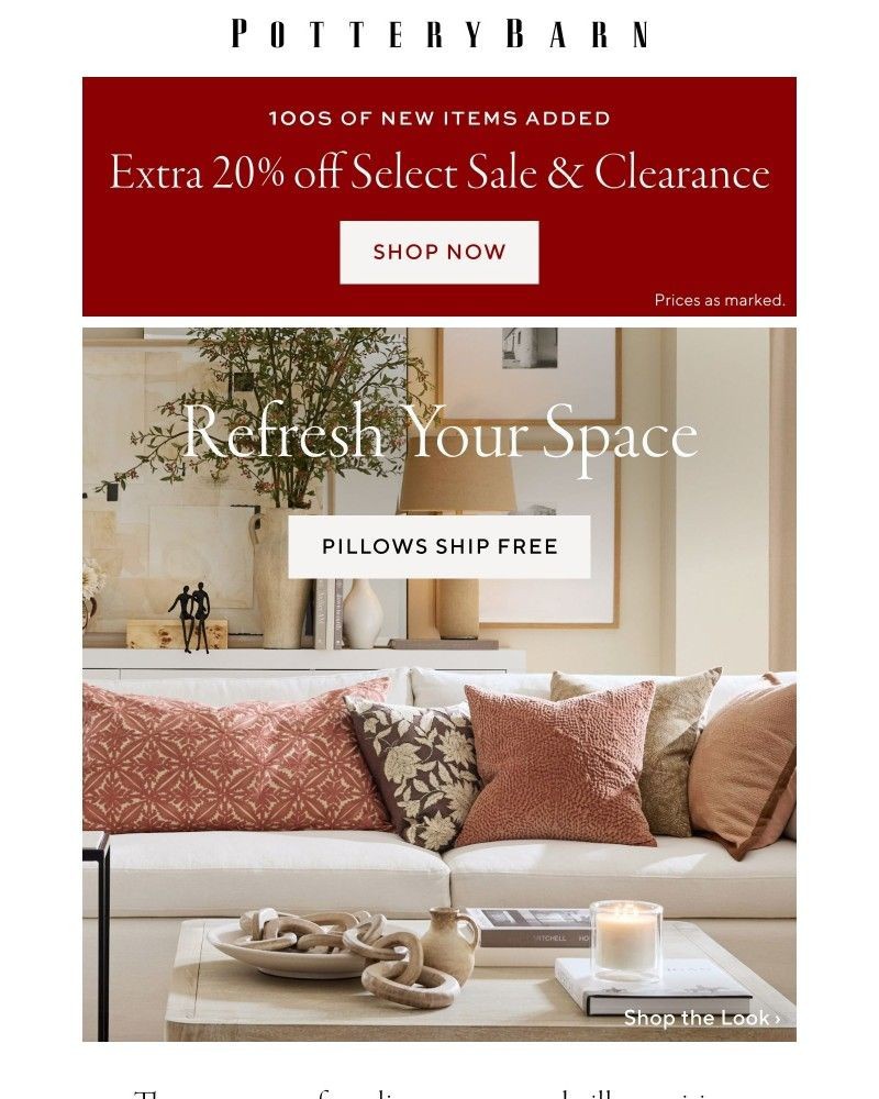Screenshot of email with subject /media/emails/extra-20-off-clearance-happening-now-new-pillows-with-endless-possibilities-5c180_xqkT9zZ.jpg