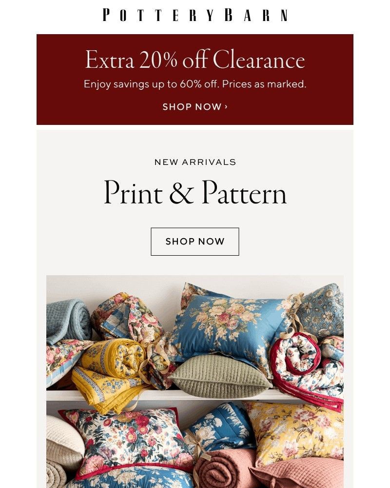 Screenshot of email with subject /media/emails/extra-20-off-clearance-starts-now-decorate-with-print-pattern-88e6e1-cropped-ac5752c0.jpg