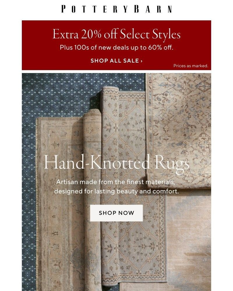 Screenshot of email with subject /media/emails/extra-20-off-ends-soon-hand-knotted-rugs-for-lasting-beauty-667d2a-cropped-81abed98.jpg