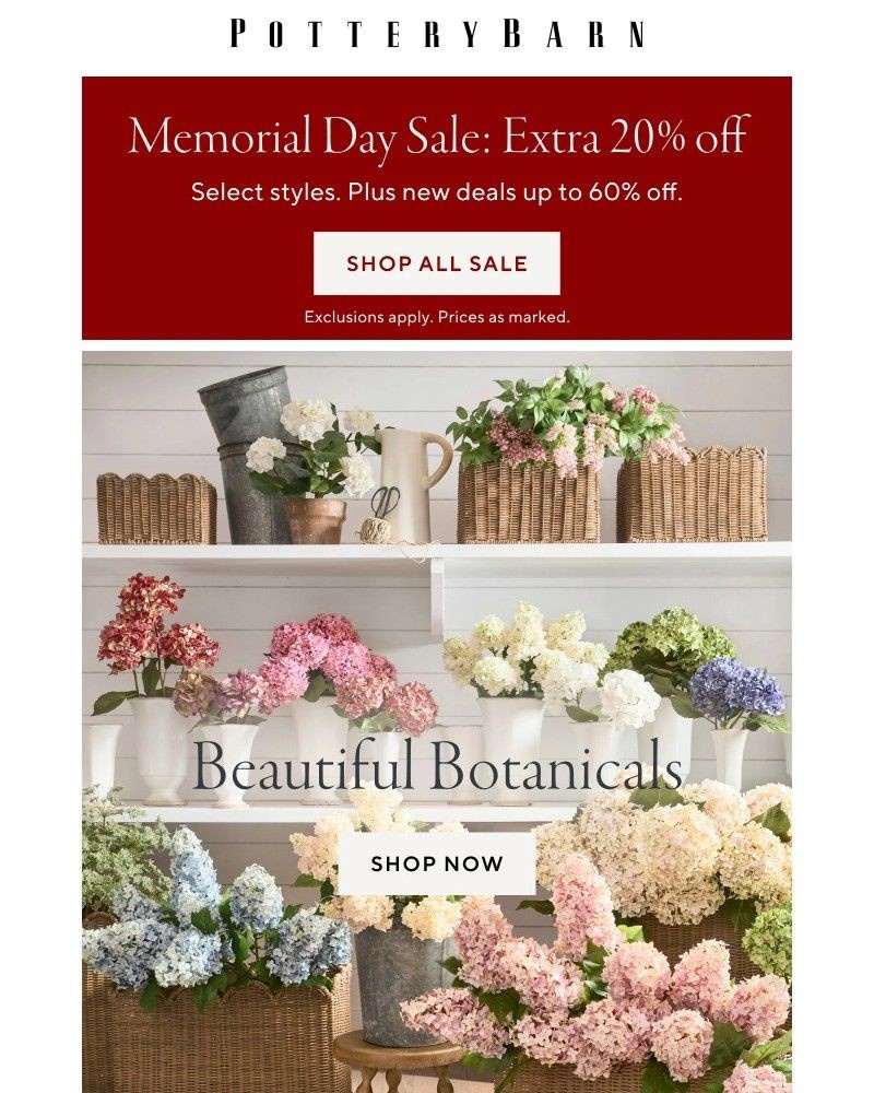 Screenshot of email with subject /media/emails/extra-20-off-is-on-discover-the-bloom-shop-596da7-cropped-df22934d.jpg