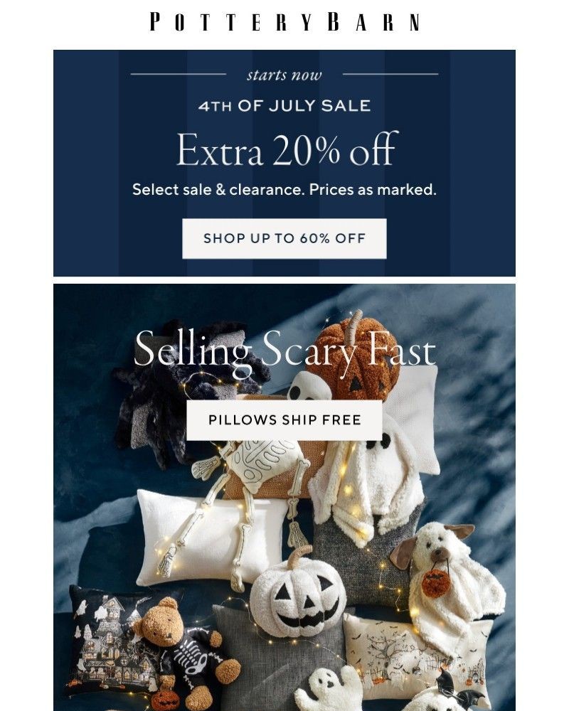 Screenshot of email with subject /media/emails/extra-20-off-select-sale-clearance-playful-pillows-that-all-ship-free-f6c20a-crop_r144ePc.jpg