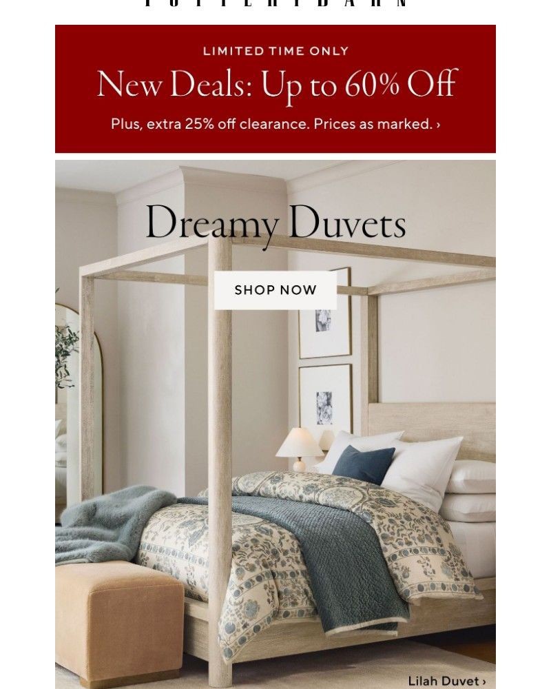 Screenshot of email with subject /media/emails/extra-25-off-clearance-save-up-to-60-find-your-perfect-duvet-478b9c-cropped-5cad3310.jpg