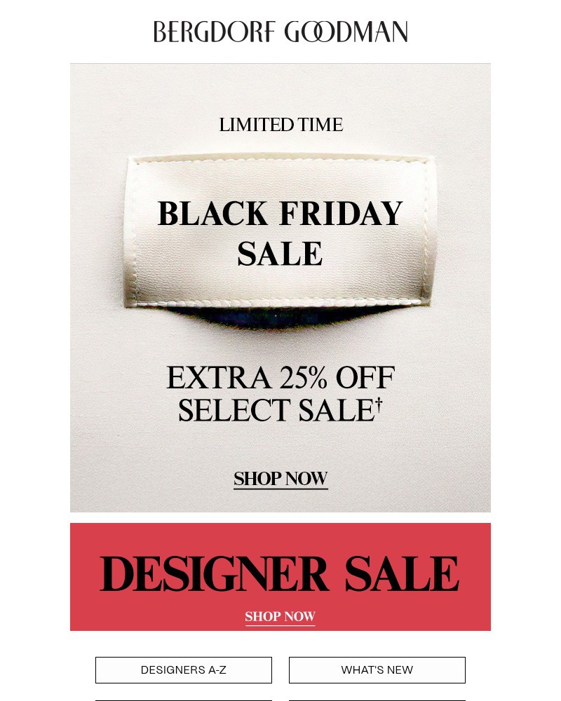 Screenshot of email with subject /media/emails/extra-25-off-sale-at-bergdorfs-46bb5c-cropped-ab8b9bab.jpg