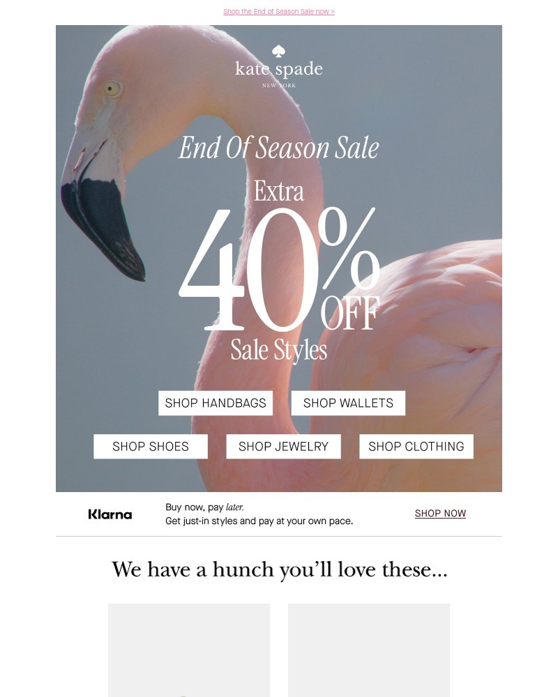 Screenshot of email sent to a Kate Spade Newsletter subscriber