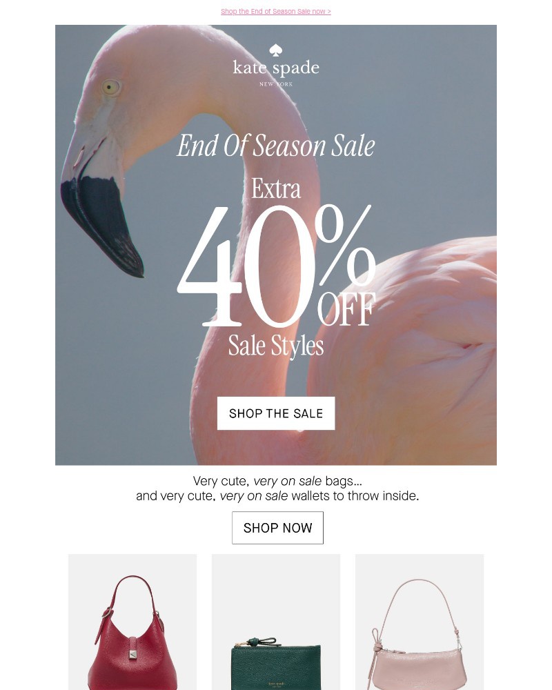 Screenshot of email with subject /media/emails/extra-40-off-these-sale-essentials-739339-cropped-b909243f.jpg