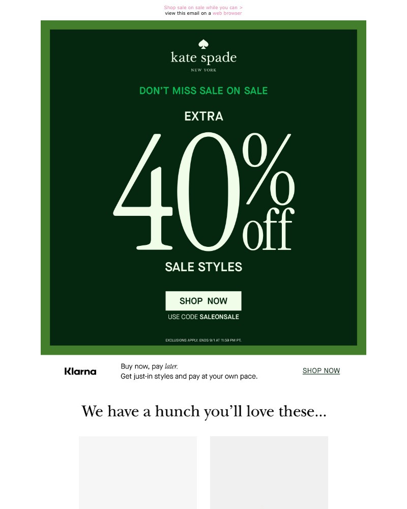 Screenshot of email with subject /media/emails/extra-40-off-wont-last-forever-c39d89-cropped-36a2f6ab.jpg