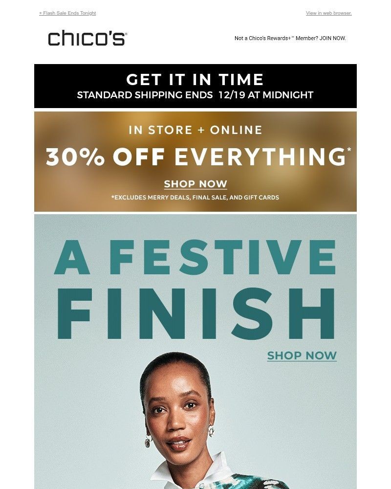 Screenshot of email with subject /media/emails/extra-extra-30-off-new-accessories-90d260-cropped-04354c43.jpg