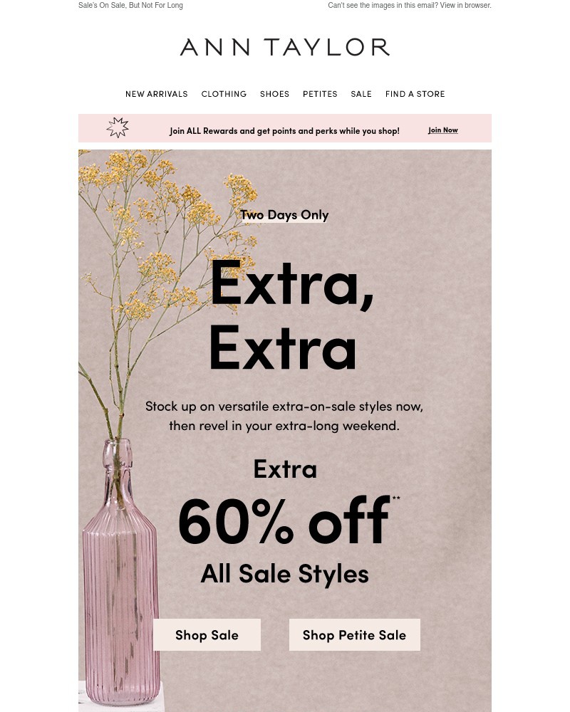 Screenshot of email with subject /media/emails/extra-on-sale-for-the-extra-long-weekend-fca0af-cropped-65c1bf4e.jpg