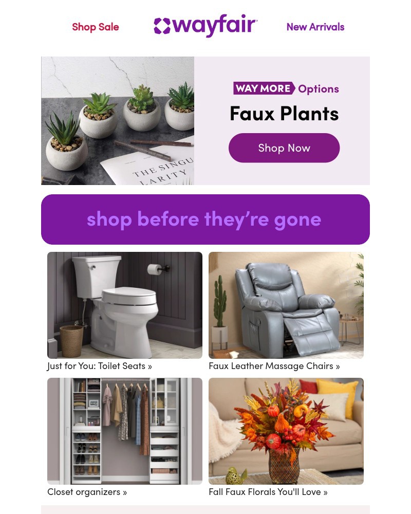 Screenshot of email with subject /media/emails/f-a-u-x-p-l-a-n-t-s-d54498-cropped-70e20439.jpg