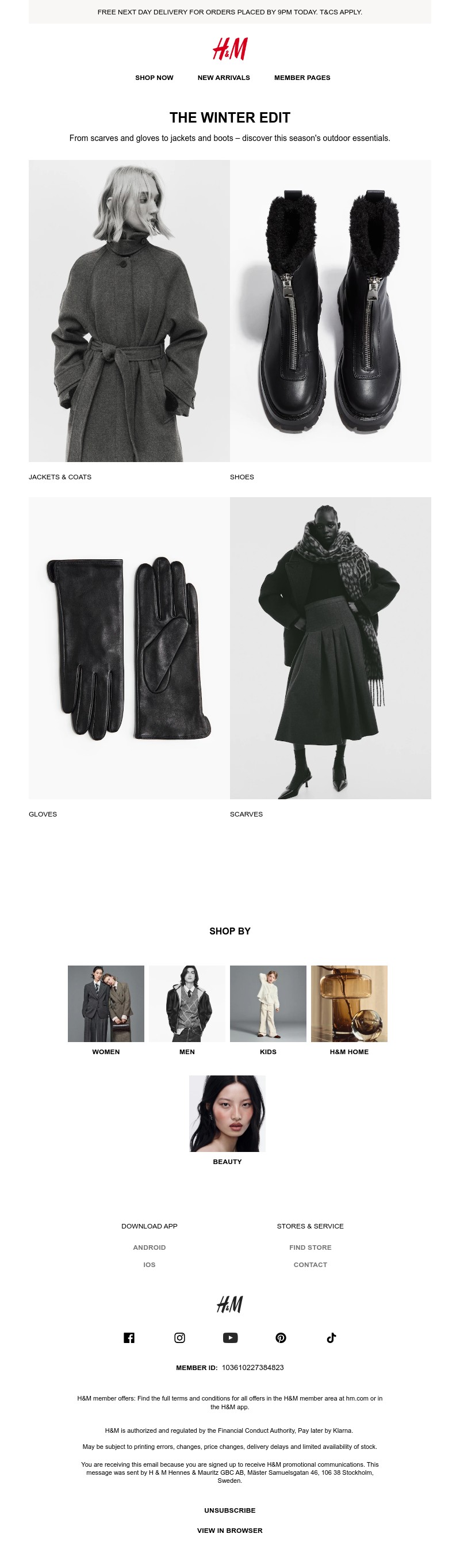 Screenshot of email with subject /media/emails/f00dfad7-6fa2-4f78-9372-bb1b9d7d69c2.jpg