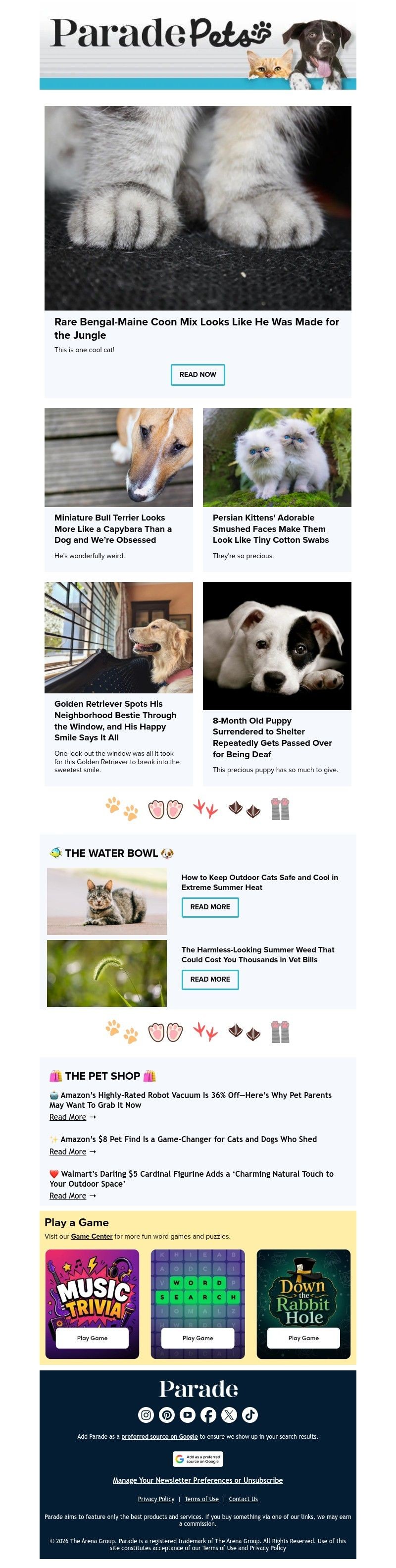 Screenshot of email with subject /media/emails/f03ad9e4-ccec-4785-9d90-33ce342649cb.jpg