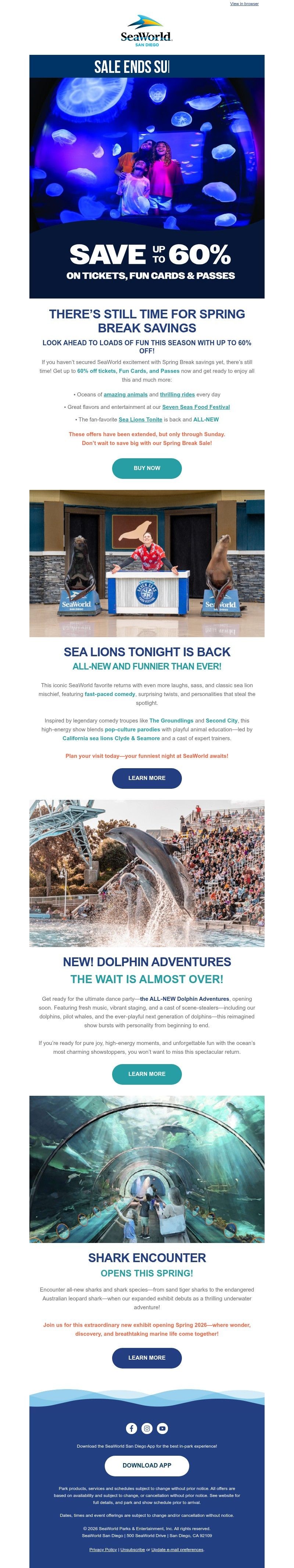 Screenshot of email with subject /media/emails/f099a043-f7da-4345-94cb-ff206a94bdf3.jpg