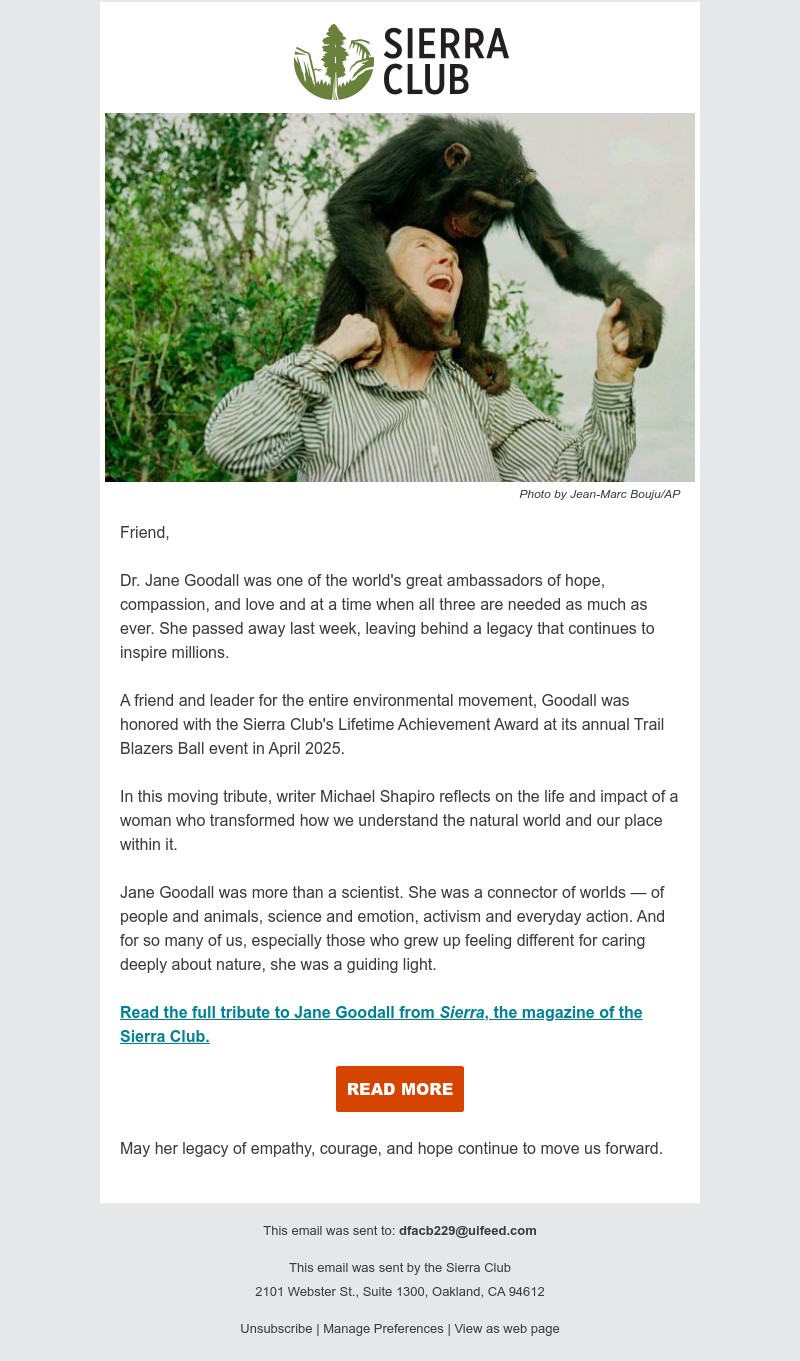 Screenshot of email with subject /media/emails/f0b3d557-fc5c-45be-b11f-7c80f0a7a47f.jpg