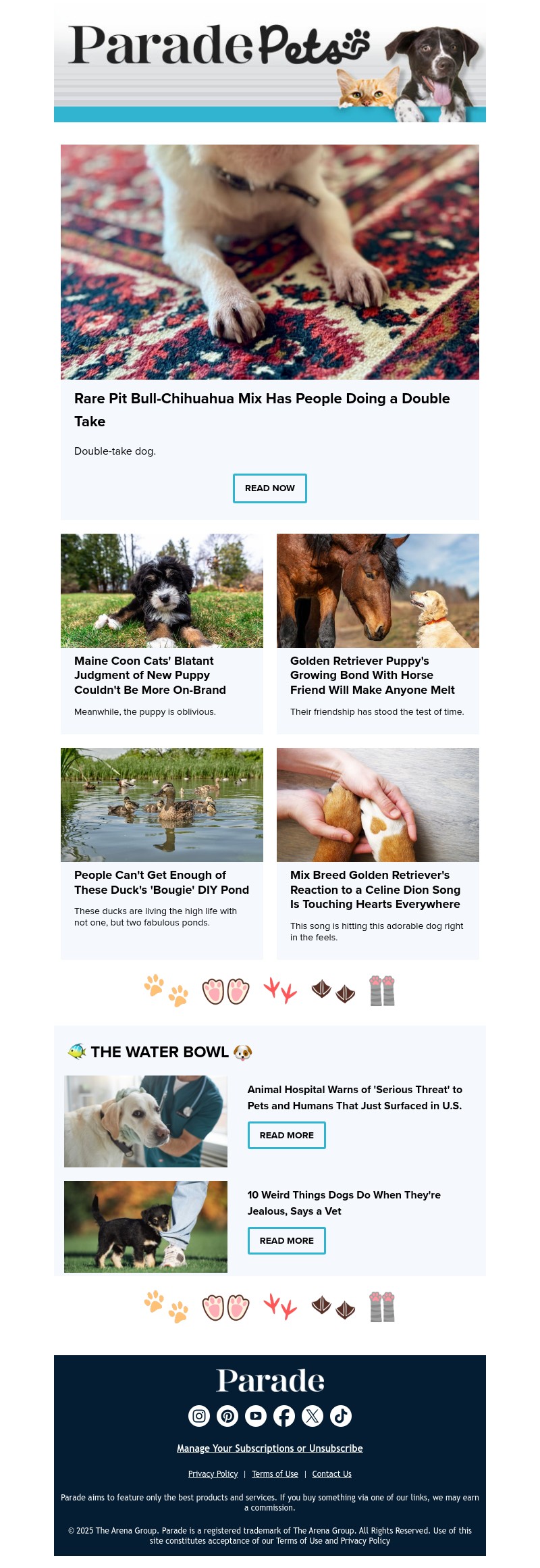 Screenshot of email with subject /media/emails/f0b941ae-677e-4faf-a5fa-c3ab66731294.jpg