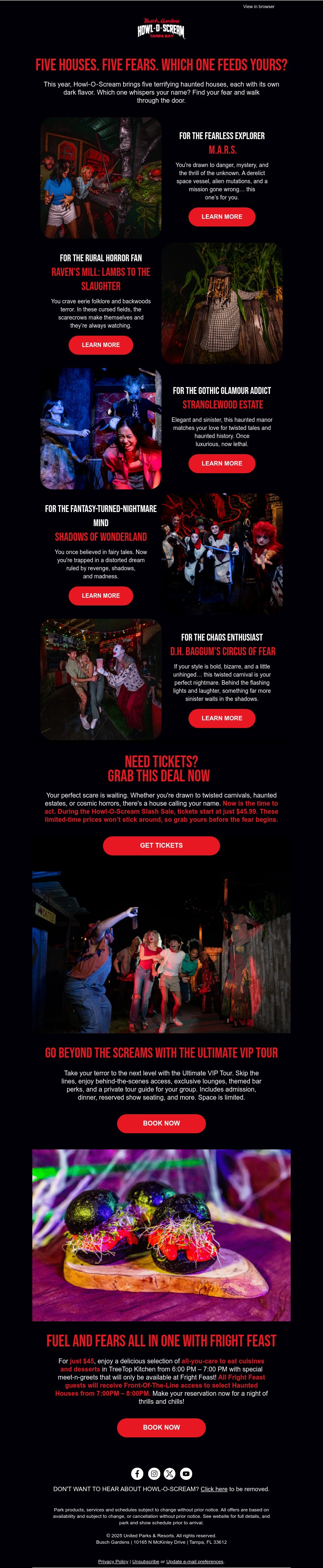 Screenshot of email with subject /media/emails/f11f3e88-748d-4689-94ea-d6978b1309e8.jpg