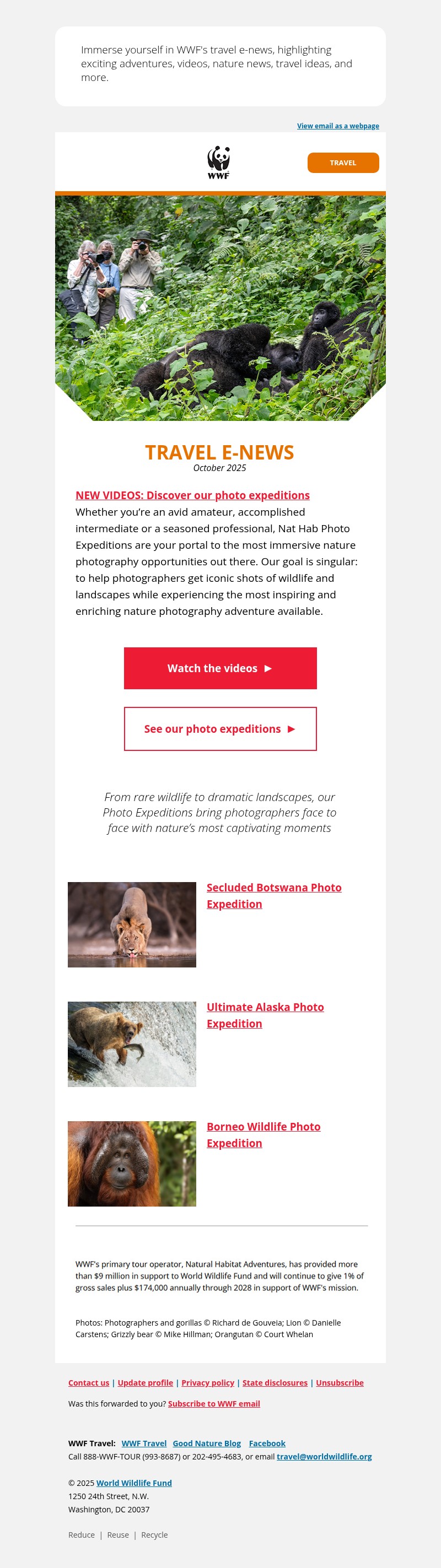 Screenshot of email with subject /media/emails/f1bb2181-8257-4886-a044-1c893ff3c785.jpg