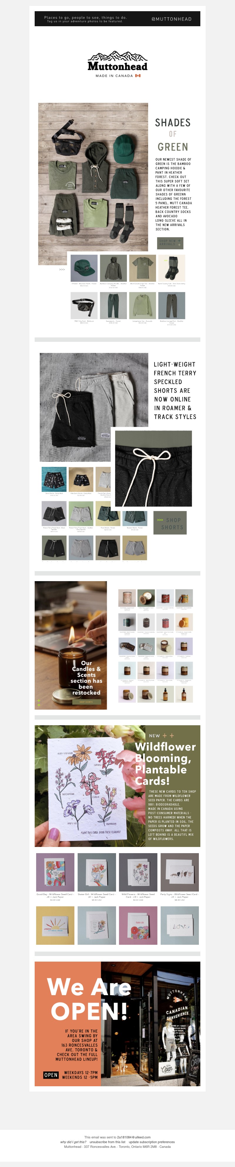 Screenshot of email with subject /media/emails/f1d1ce6f-2f82-47de-b3c3-47e84938b761.jpg