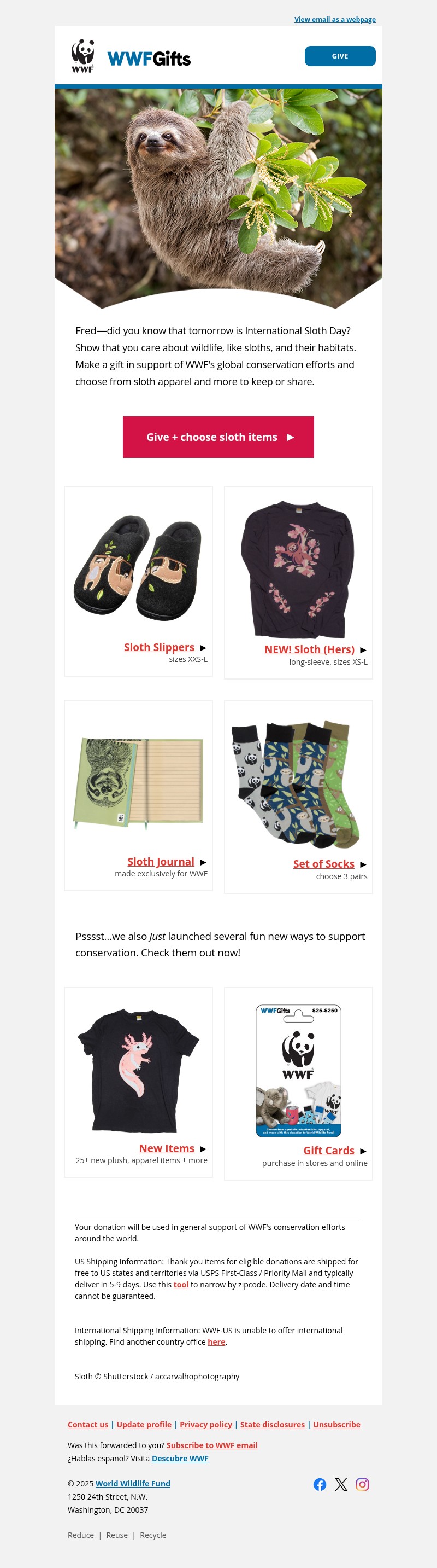 Screenshot of email with subject /media/emails/f205bfe2-ecec-46d6-8b65-5053cf47ec2a.jpg