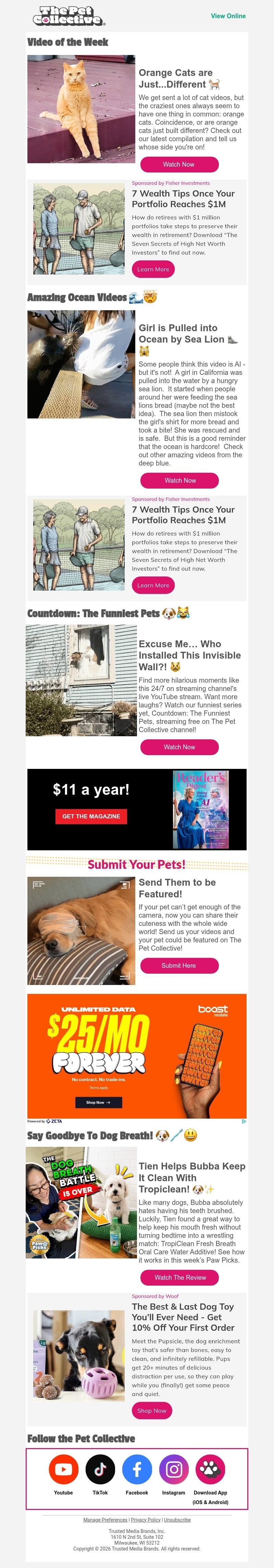 Screenshot of email with subject /media/emails/f2e57e5f-abbe-4289-a793-e61bf695f03b.jpg