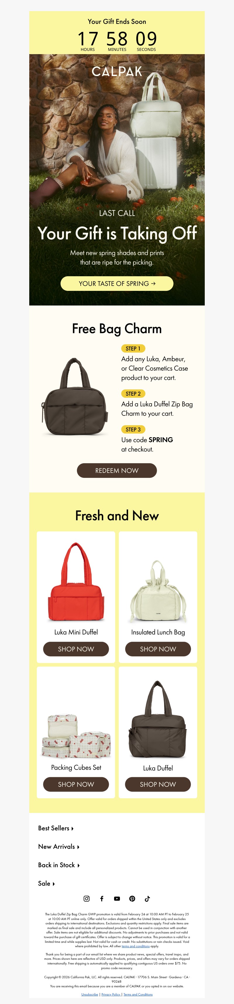 Screenshot of email with subject /media/emails/f31f5b69-3e9e-4459-875e-990a1a29c1ed.jpg