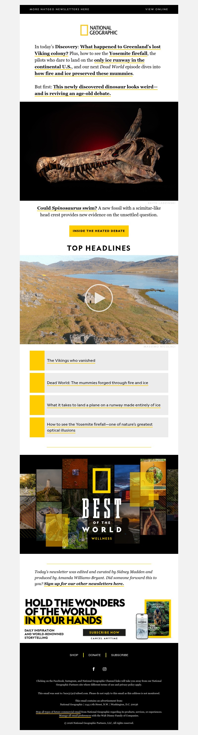 Screenshot of email with subject /media/emails/f3619114-567e-4d61-b024-d07ed158d45a.jpg