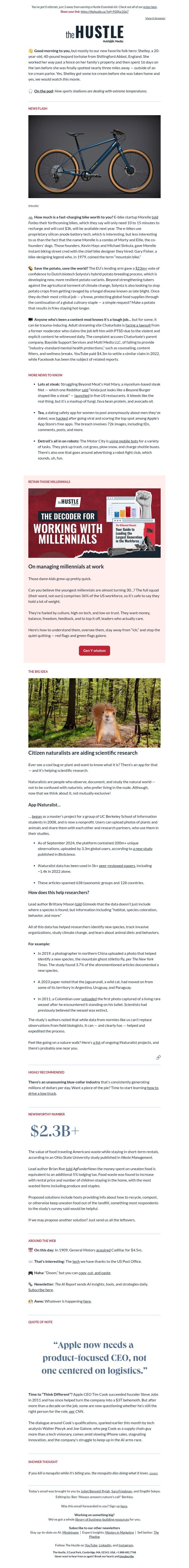 Screenshot of email with subject /media/emails/f463a69a-ac02-4043-b456-ca5e9e4e0210.jpg
